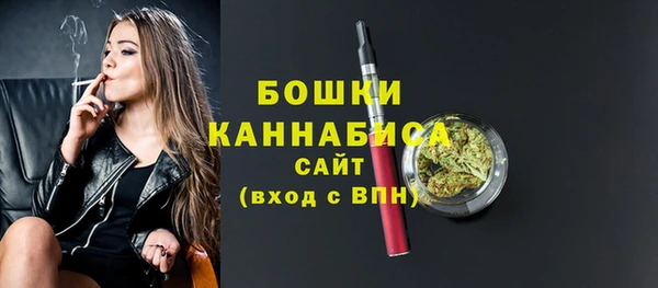 мдпв Болохово