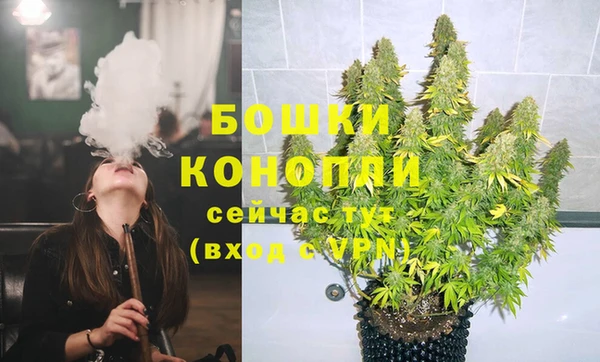 кокс Болотное