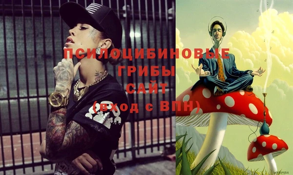 кокс Болотное